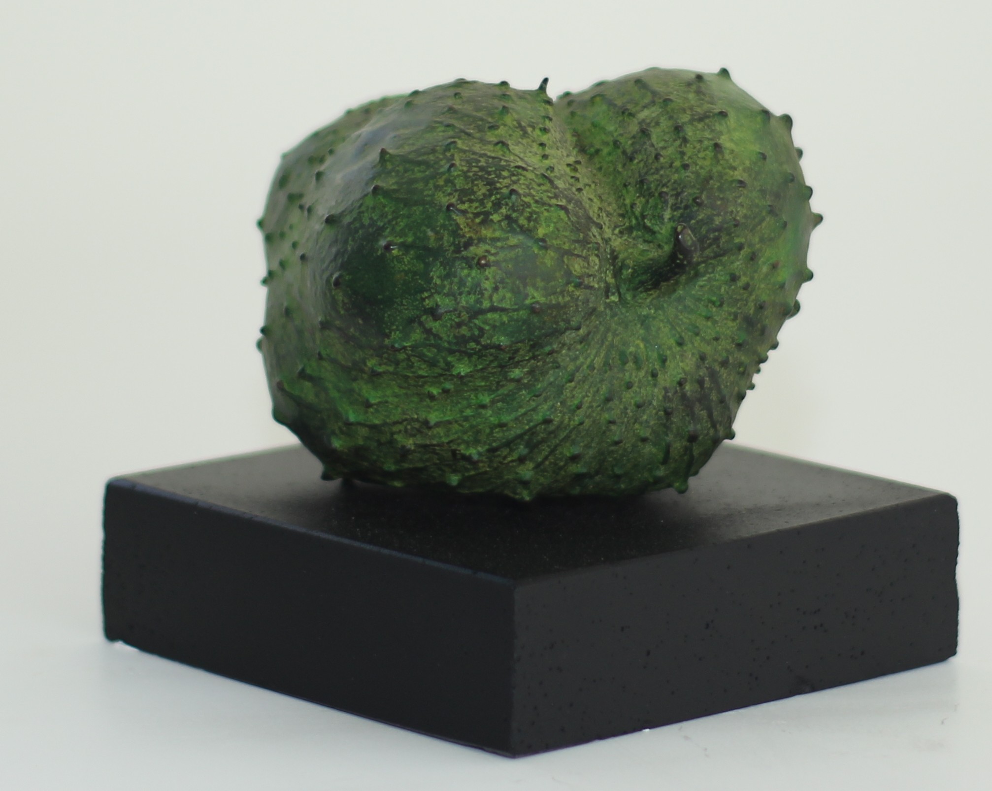 Guyabano — Annona muricata — cast directly into silicon bronze