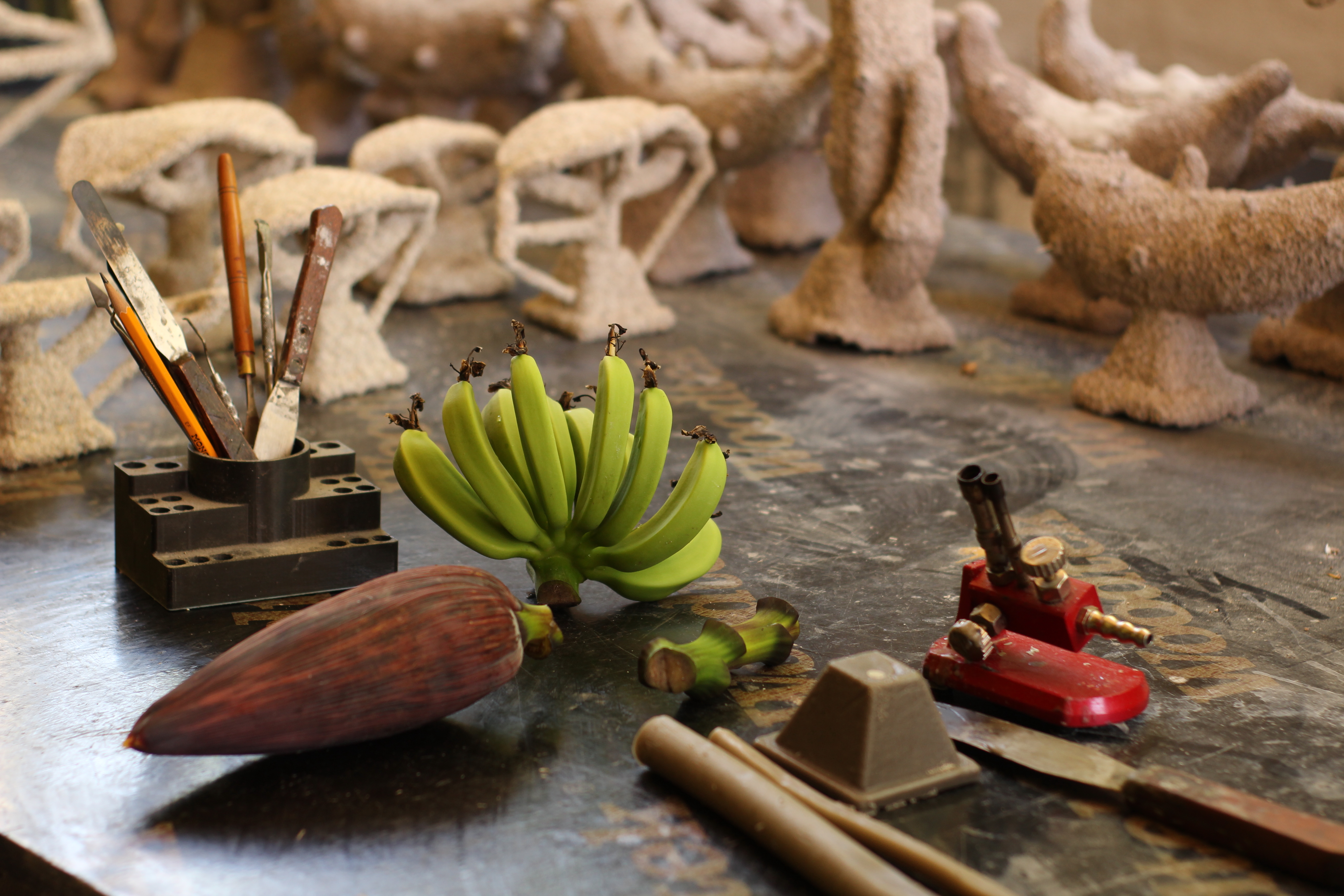 Botanical specimens — the botanicals of influence