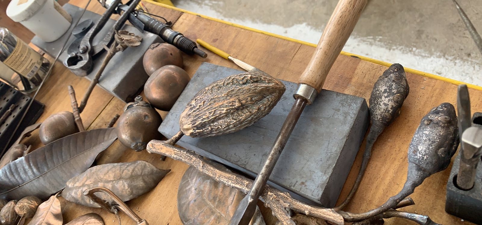 The Biosecurity Bridge — Legal Travelers