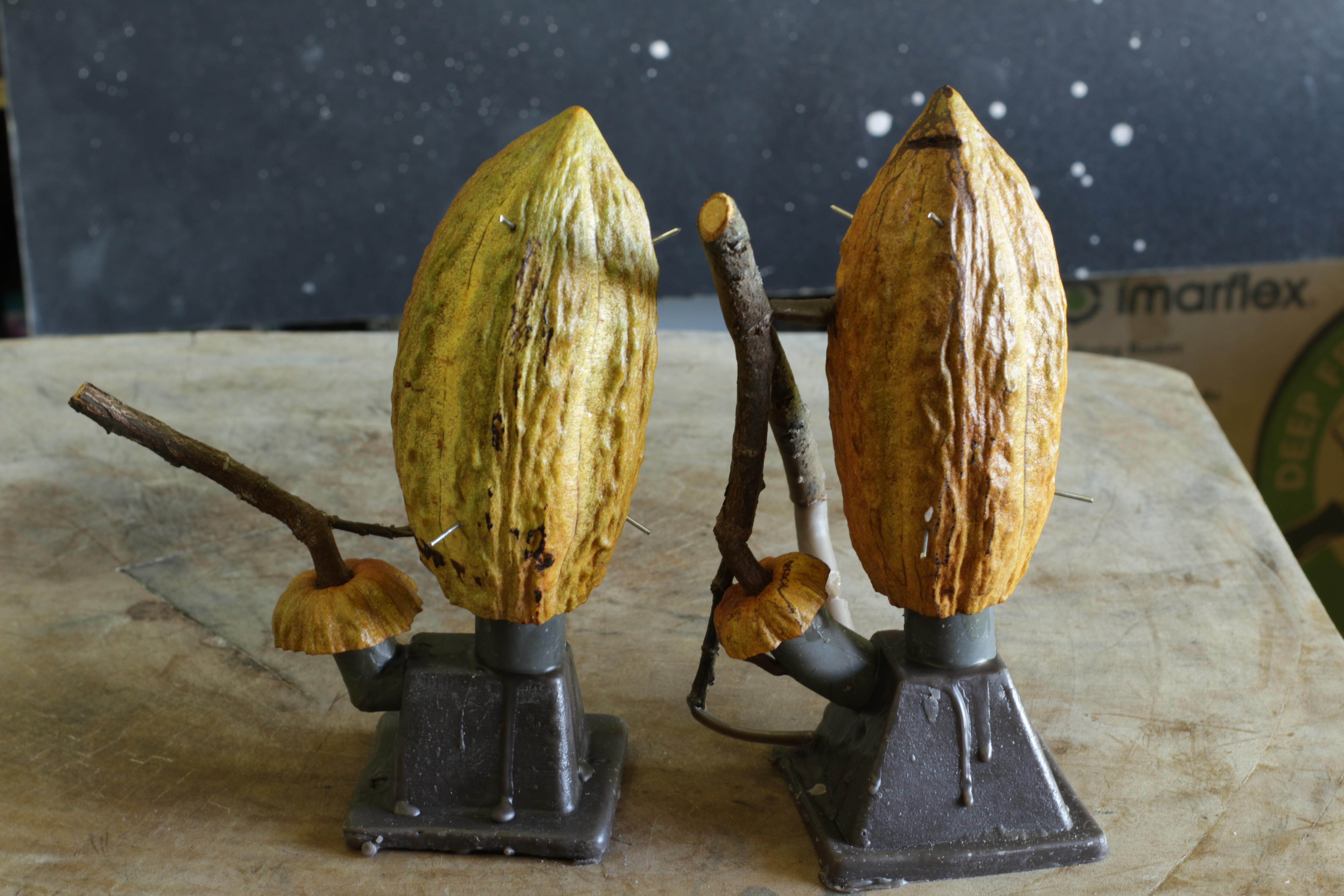 The Mobile Field Node — in-situ forensic capture